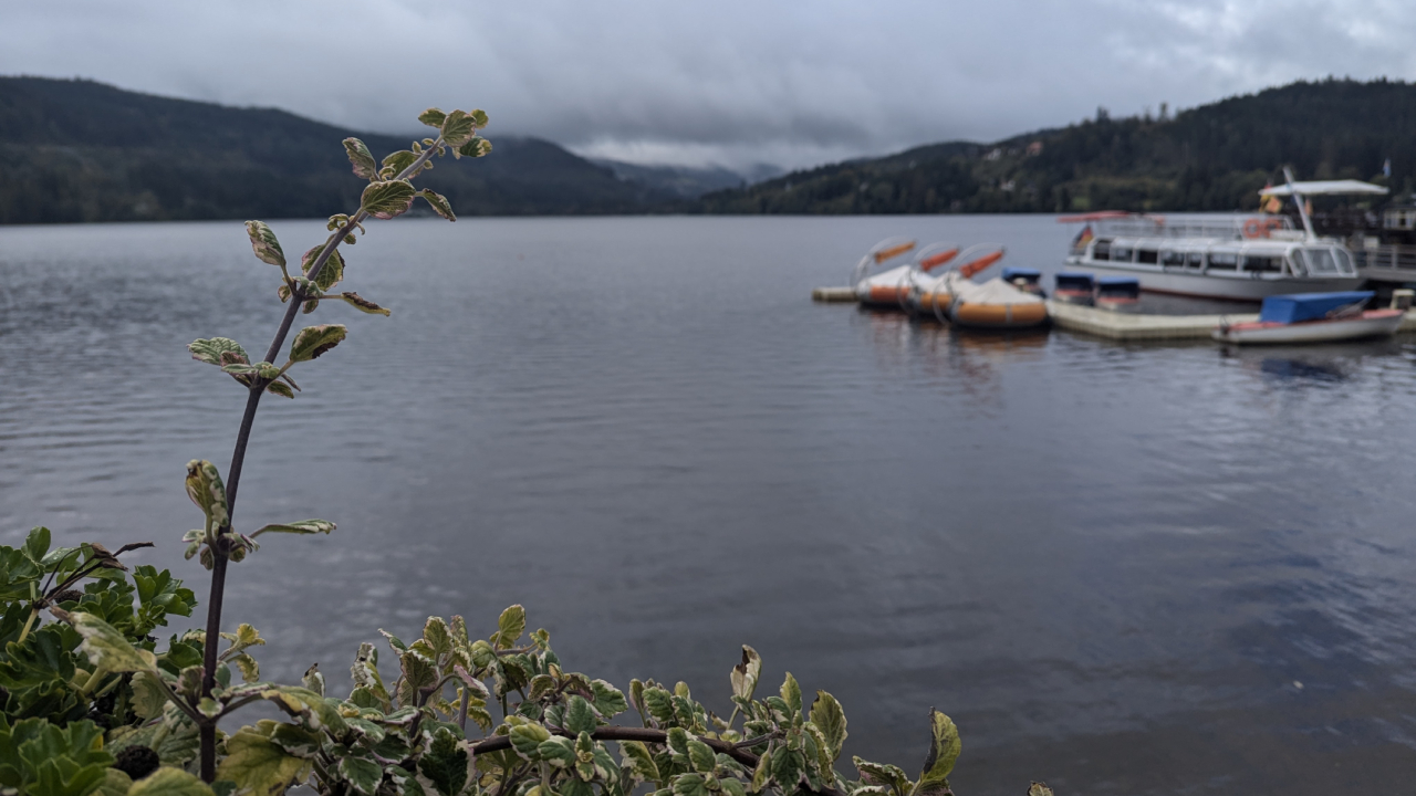 Lake